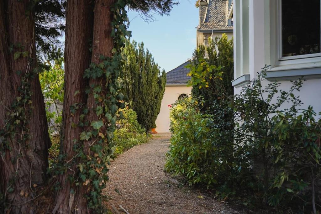 Villa Rosa - Sky Detmold Dış mekan fotoğraf