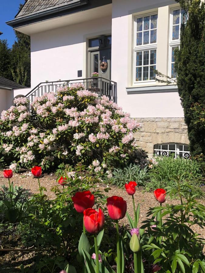 Villa Rosa - Sky Detmold Dış mekan fotoğraf